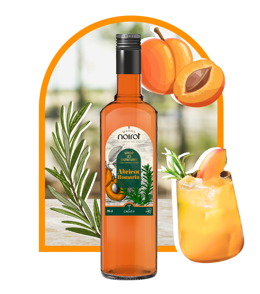 SIROP ABRICOT ROMARIN