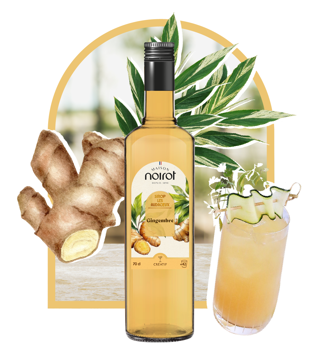 SIROP GINGEMBRE