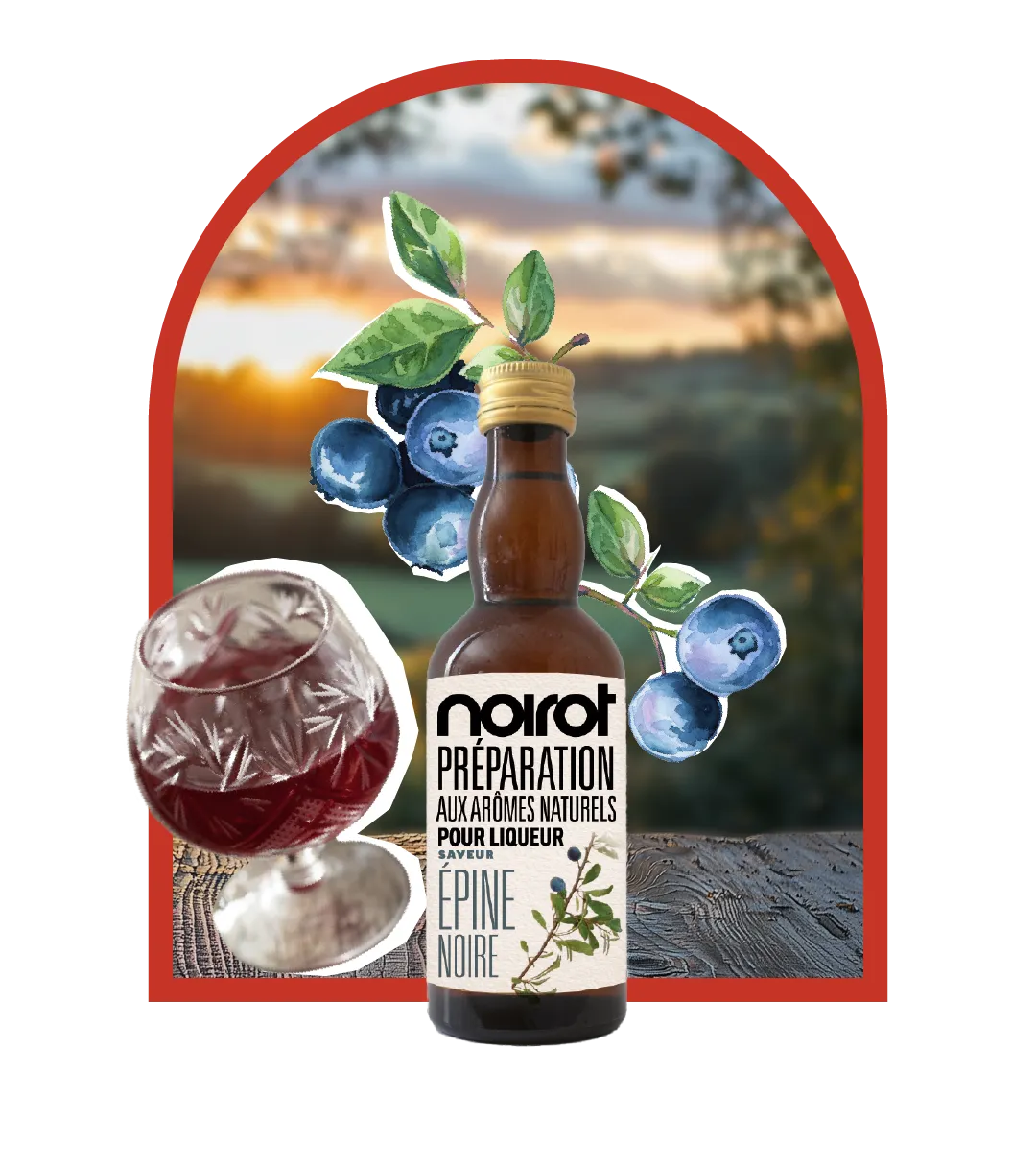 KIT LIQUEUR ARÔME EPINE NOIRE