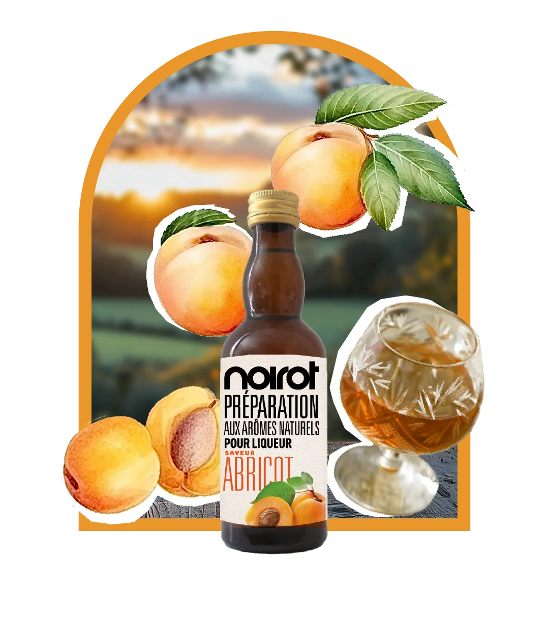 KIT LIQUEUR ARÔME ABRICOT