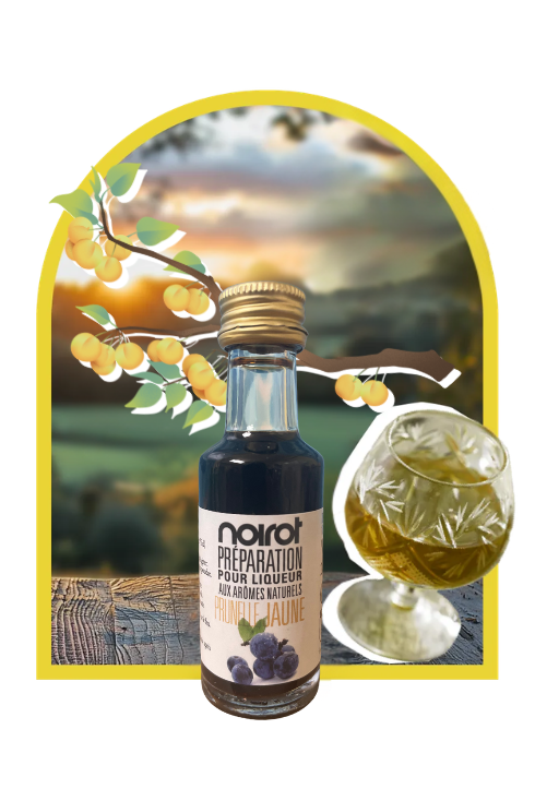 PRÉPARATION POUR LIQUEUR ARÔME PRUNELLE JAUNE