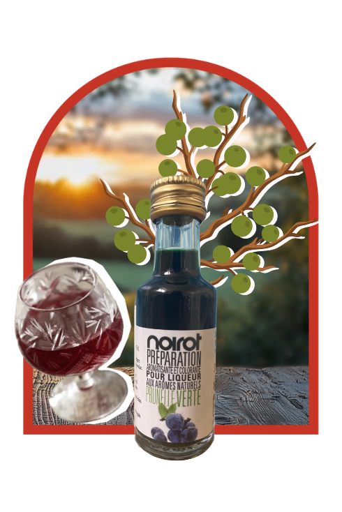 PRÉPARATION POUR LIQUEUR ARÔME PRUNELLE VERTE