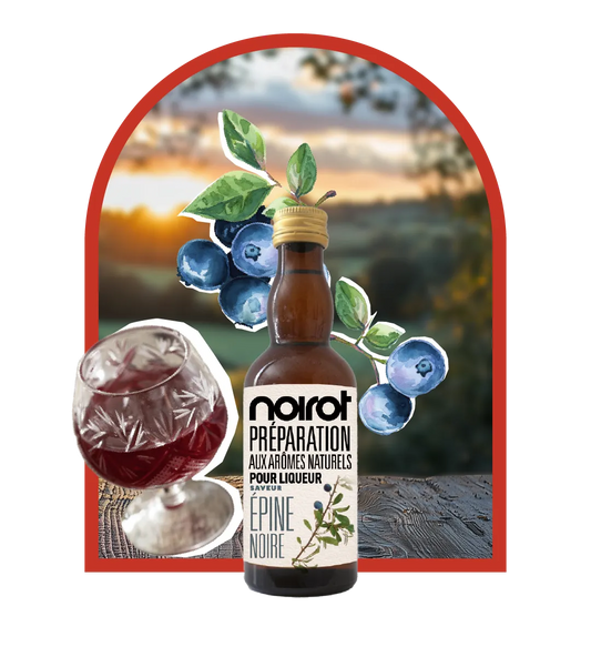 PRÉPARATION POUR LIQUEUR ARÔME EPINE NOIRE