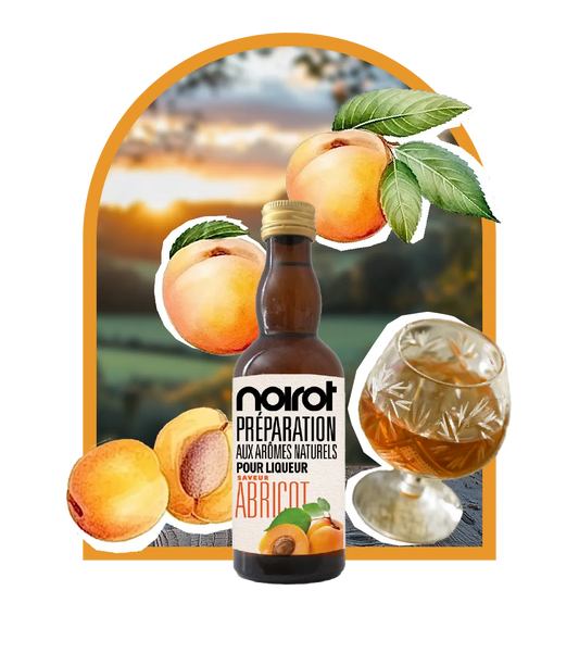 PRÉPARATION POUR LIQUEUR ARÔME ABRICOT